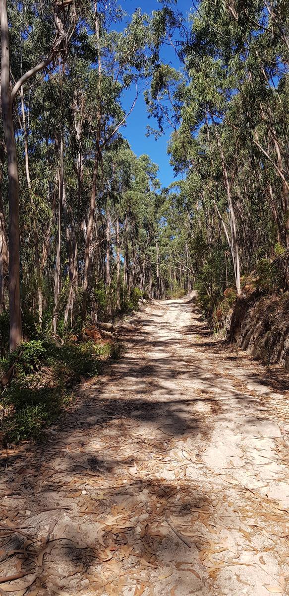 Barragem do Rio da Mula Sintra